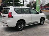 TOYOTA LAND CRUISER PRADO VXL 2019